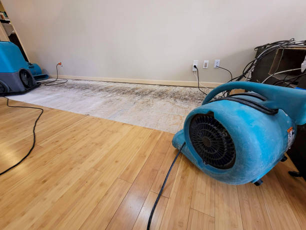 Professional Emergency Water Damage technician working in New Athens, OH